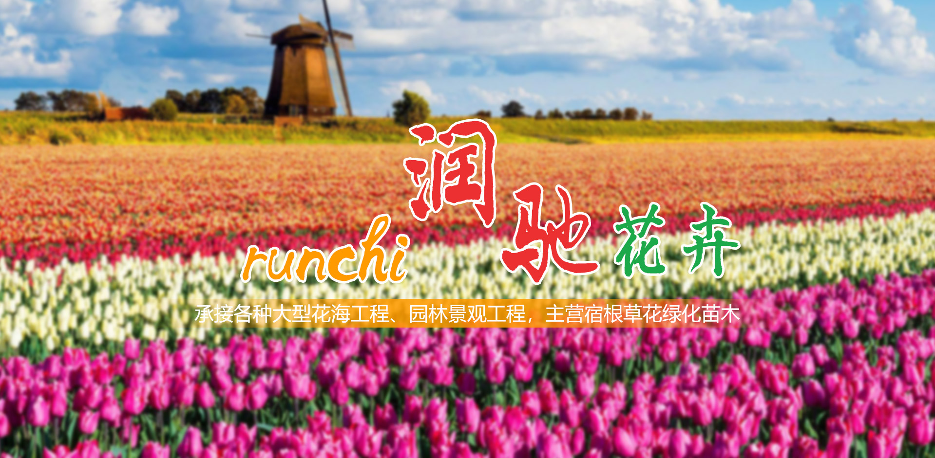 青州市潤馳花卉苗木有限公司