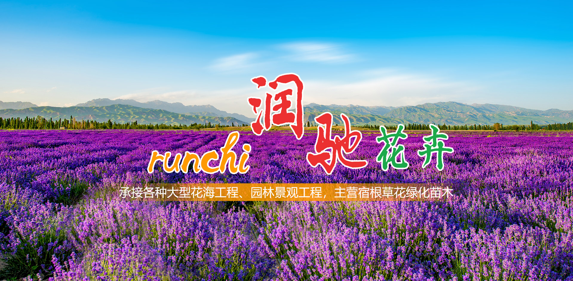 青州市潤馳花卉苗木有限公司