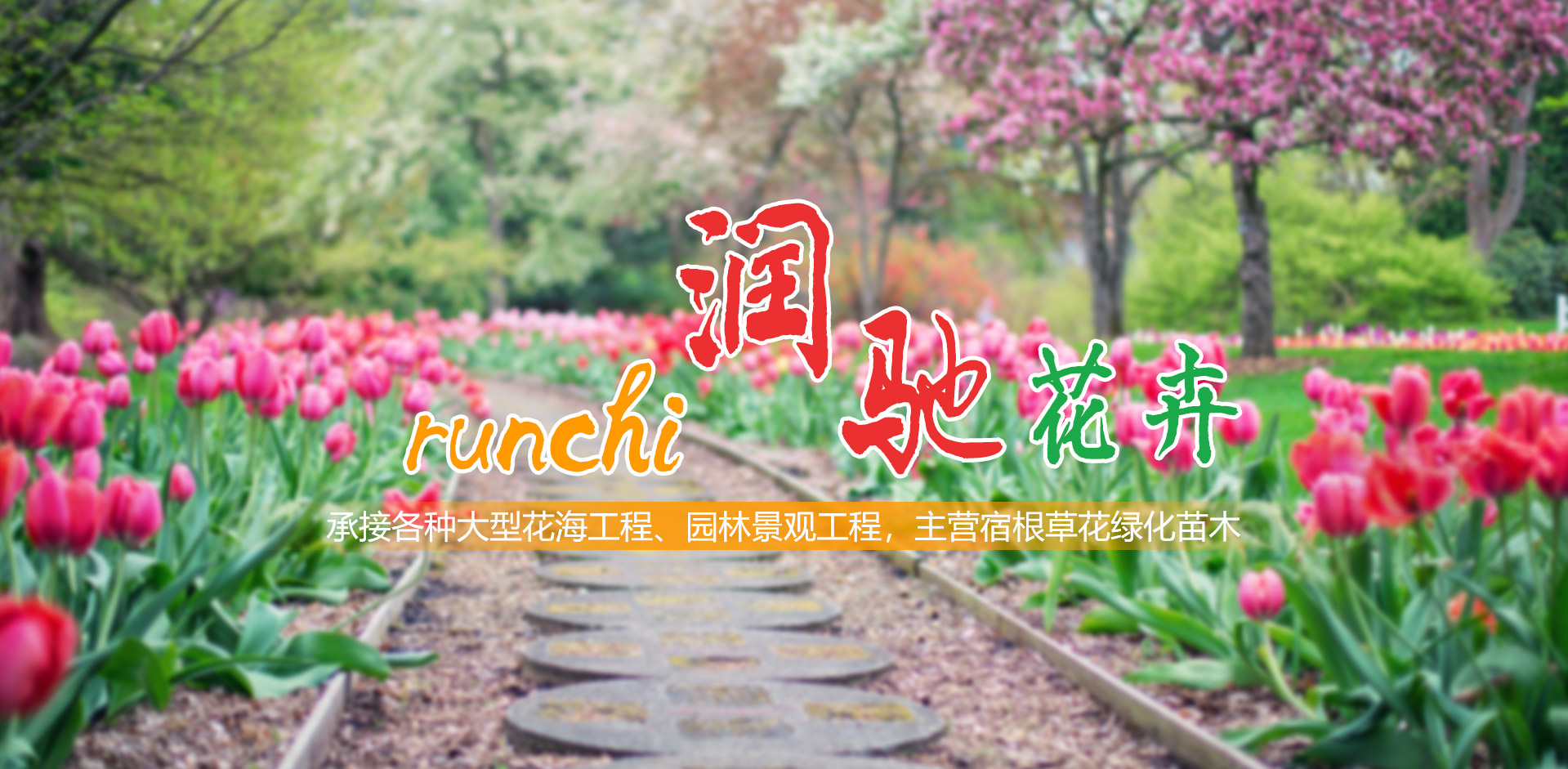 青州市潤馳花卉苗木有限公司