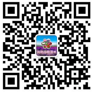 青州市潤馳花卉苗木有限公司微信二維碼
